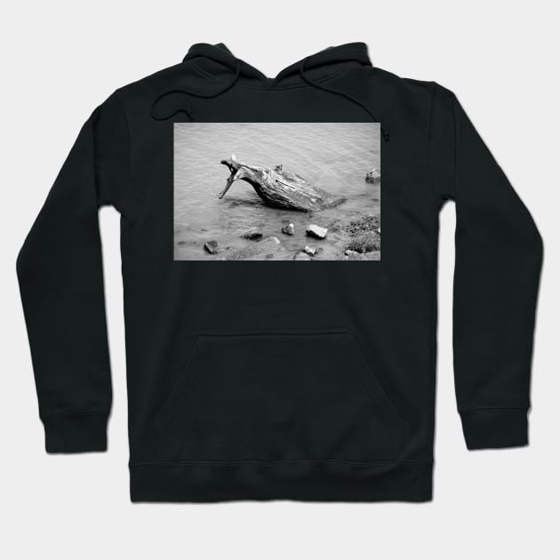 SF Bay Deadwood Hoodie by bobmeyers